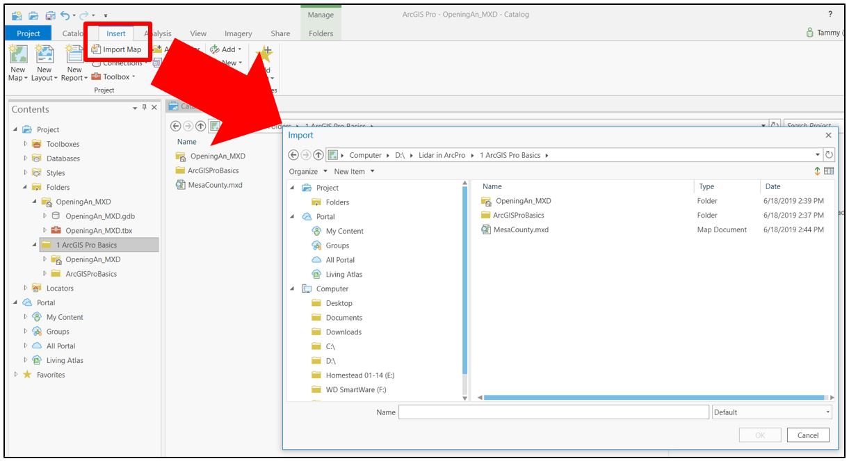 The Import Dialog box