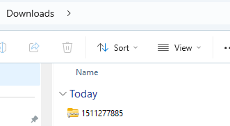 Figure 7.10. Downloaded Mesa County Lidar zipped filed in the computer’s Downloads folder