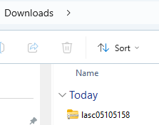 Figure 7.23. Lidar file in the Downloads folder