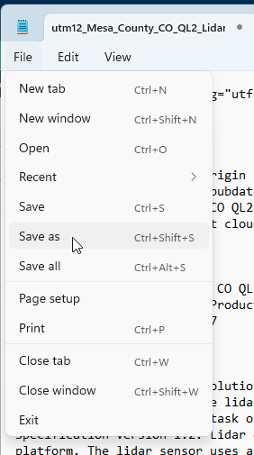 Figure 9.11. Saving As in Notepad