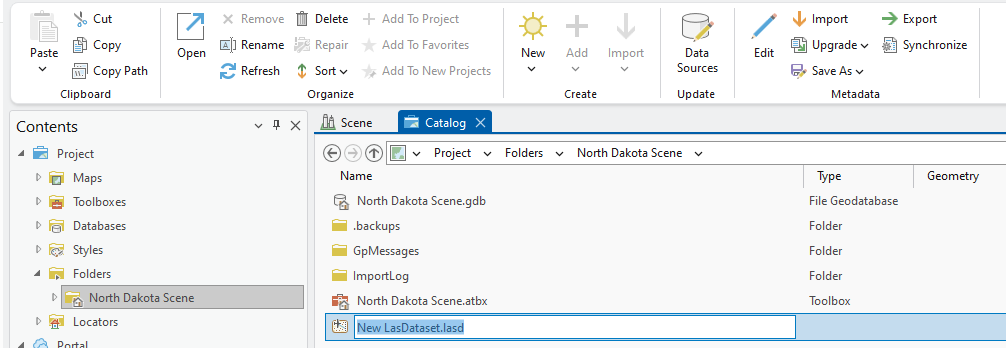 Figure 13.5 A New LAS Dataset in Catalog View