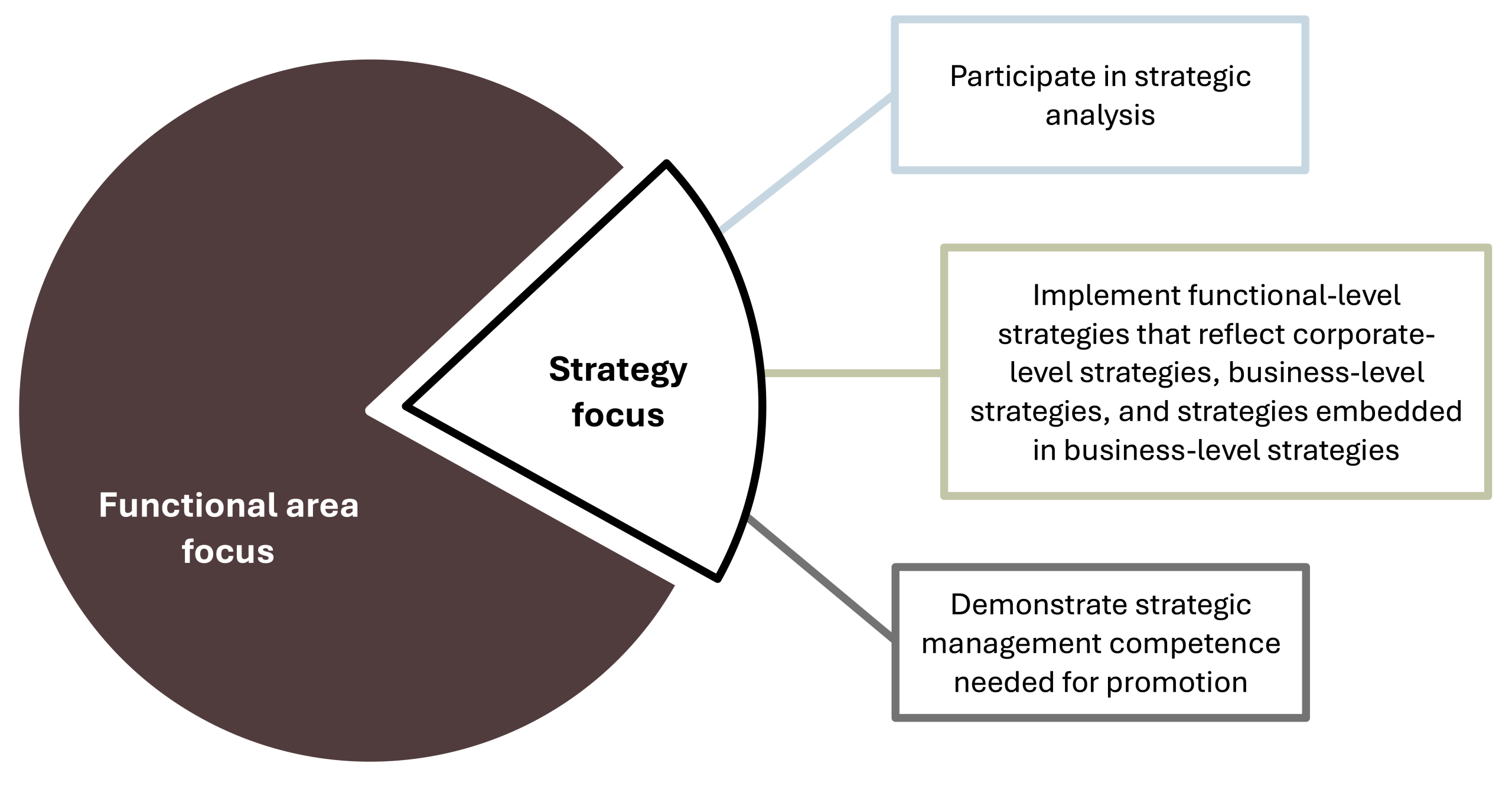 Pie chart illustrating functional area focus and strategy focus