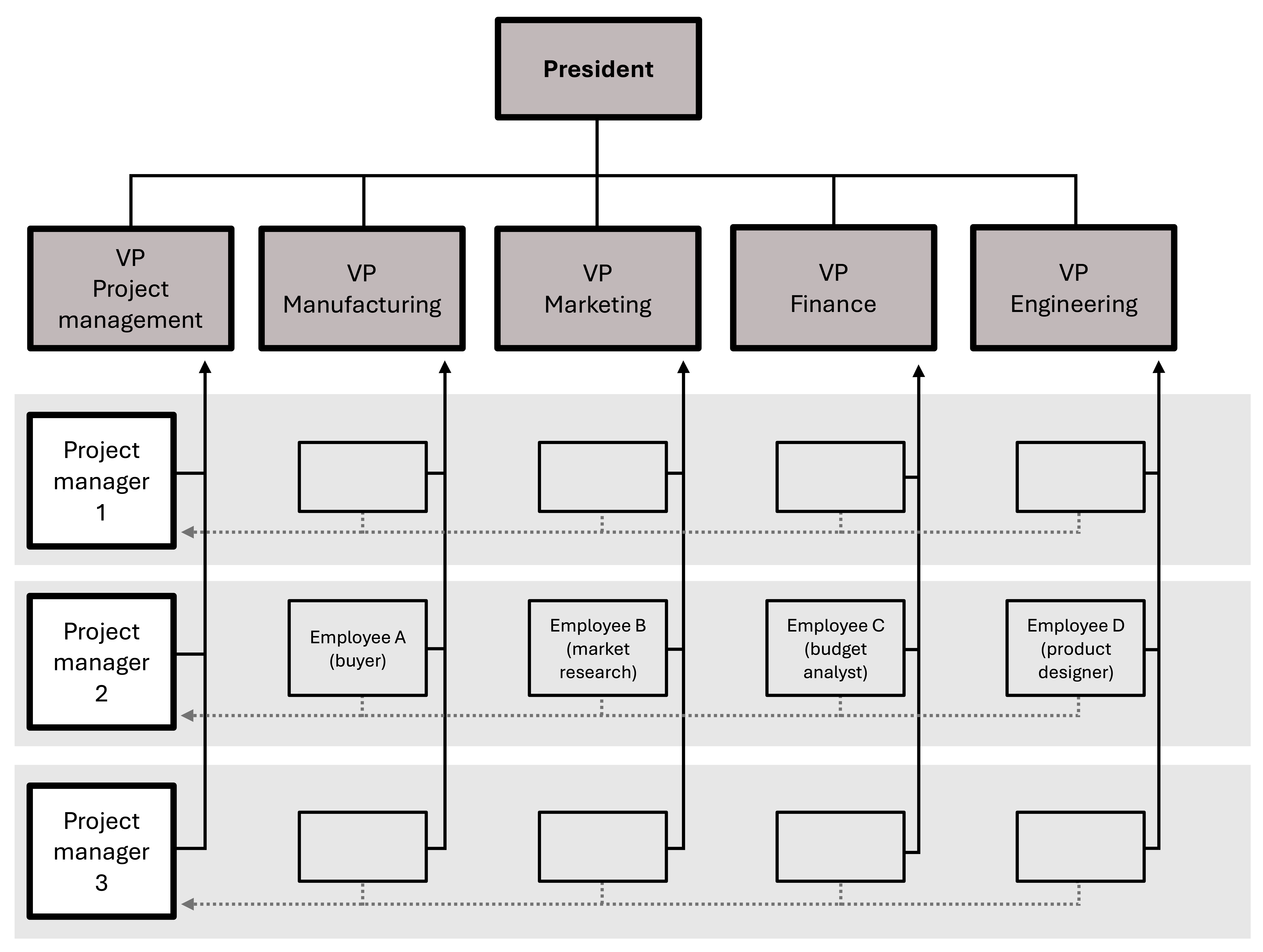 Organizational chart showing direct reports of VPs