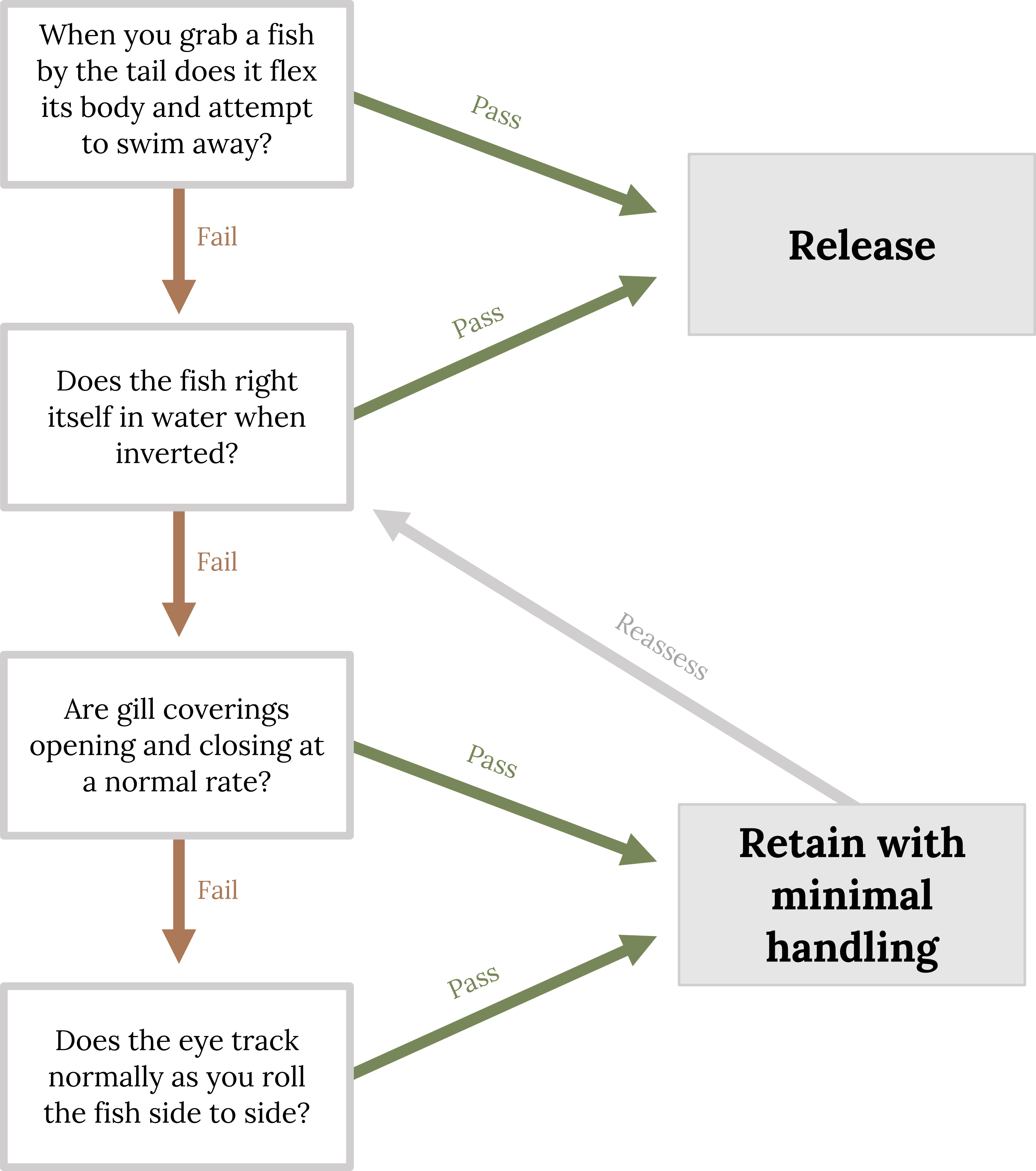 Monofilament Cod Line - Atlantic Rivers Outfitting Company