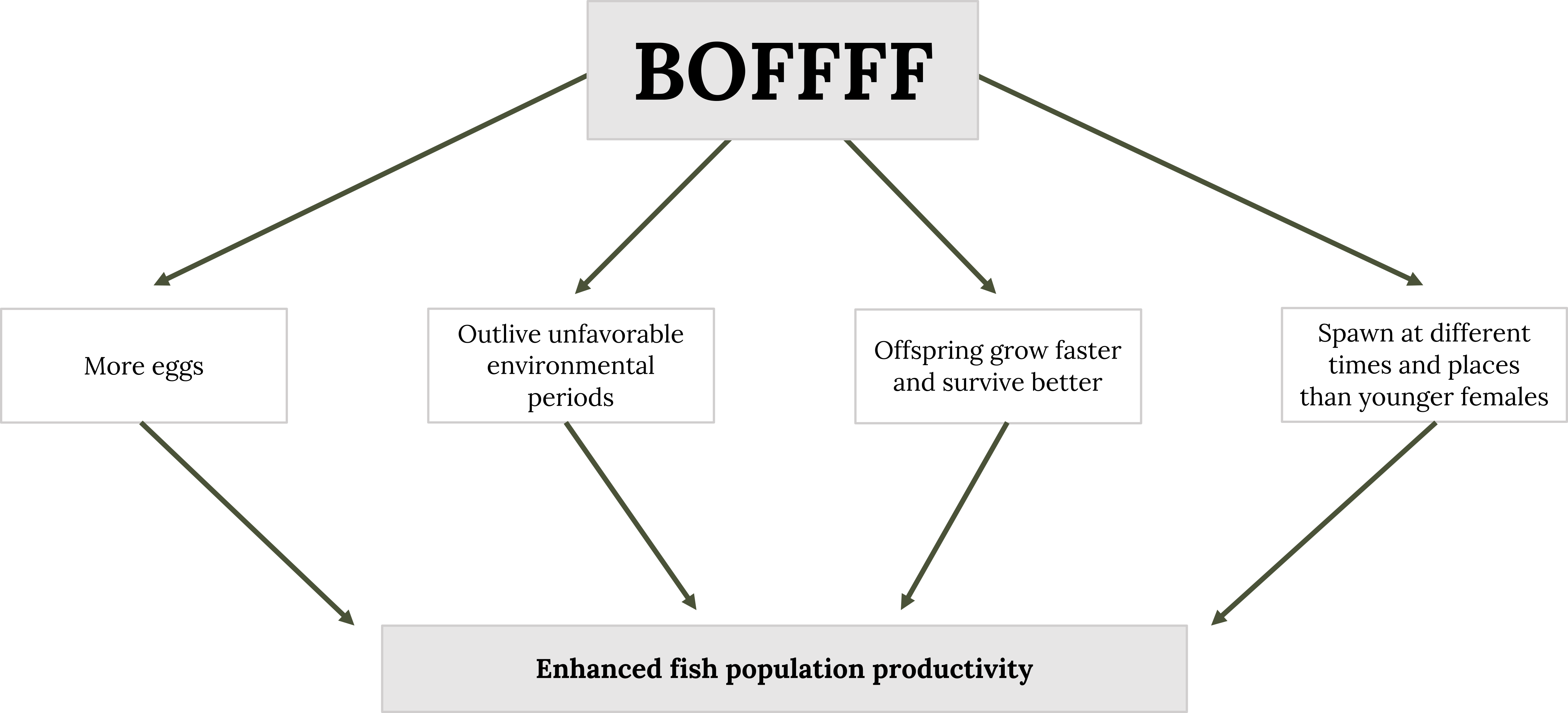 Joanna Griffiths – Fish Conservation Physiology Lab