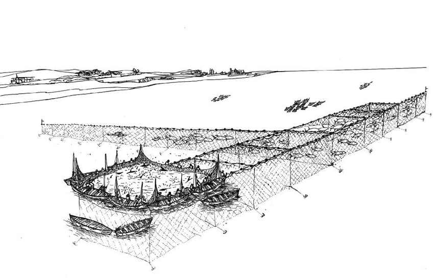 Illustration of horizontal rows of net chambers, attached to the sea bottom