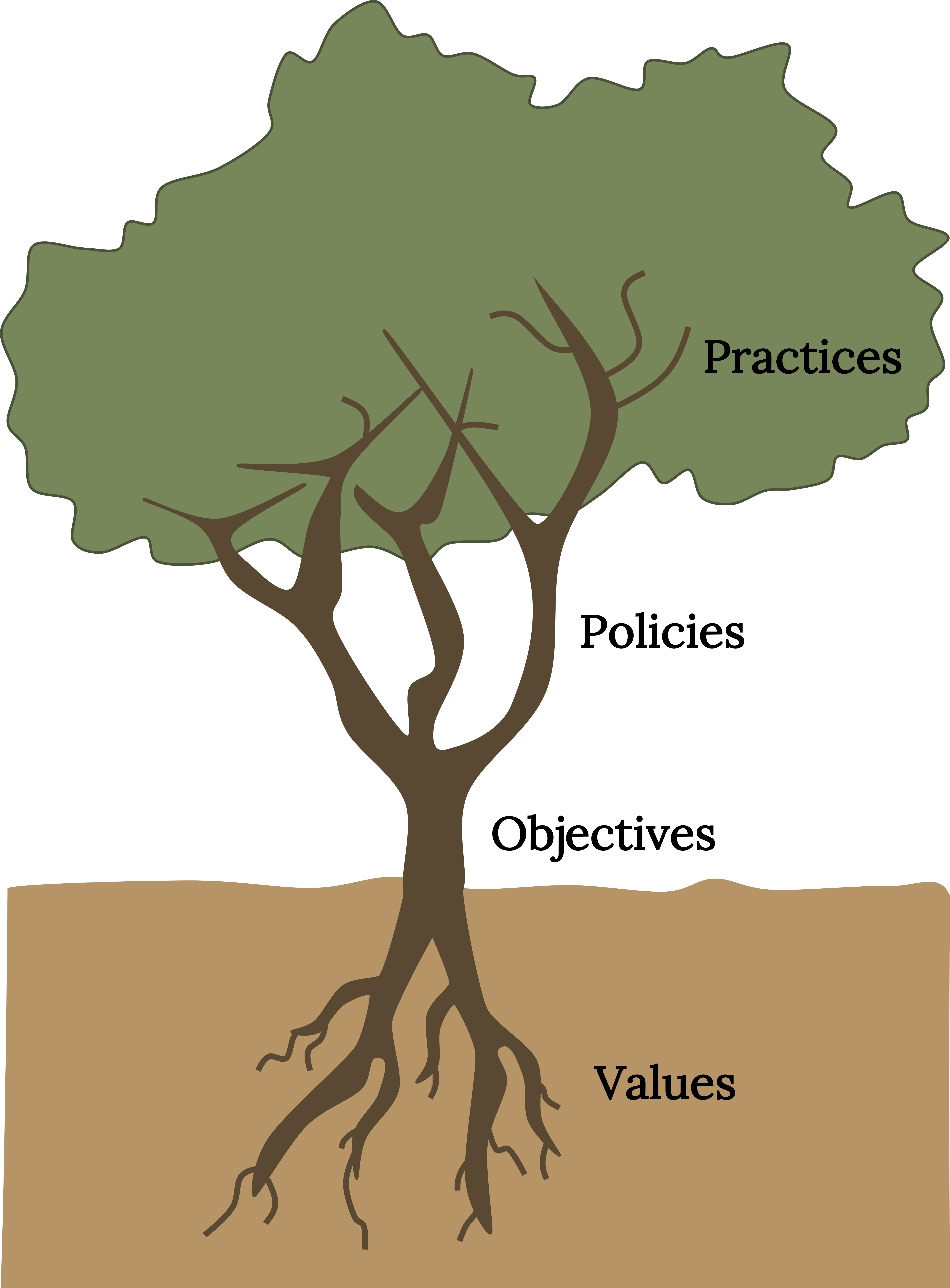 Tree diagram. From roots to leaves: values, objectives, policies, practices.