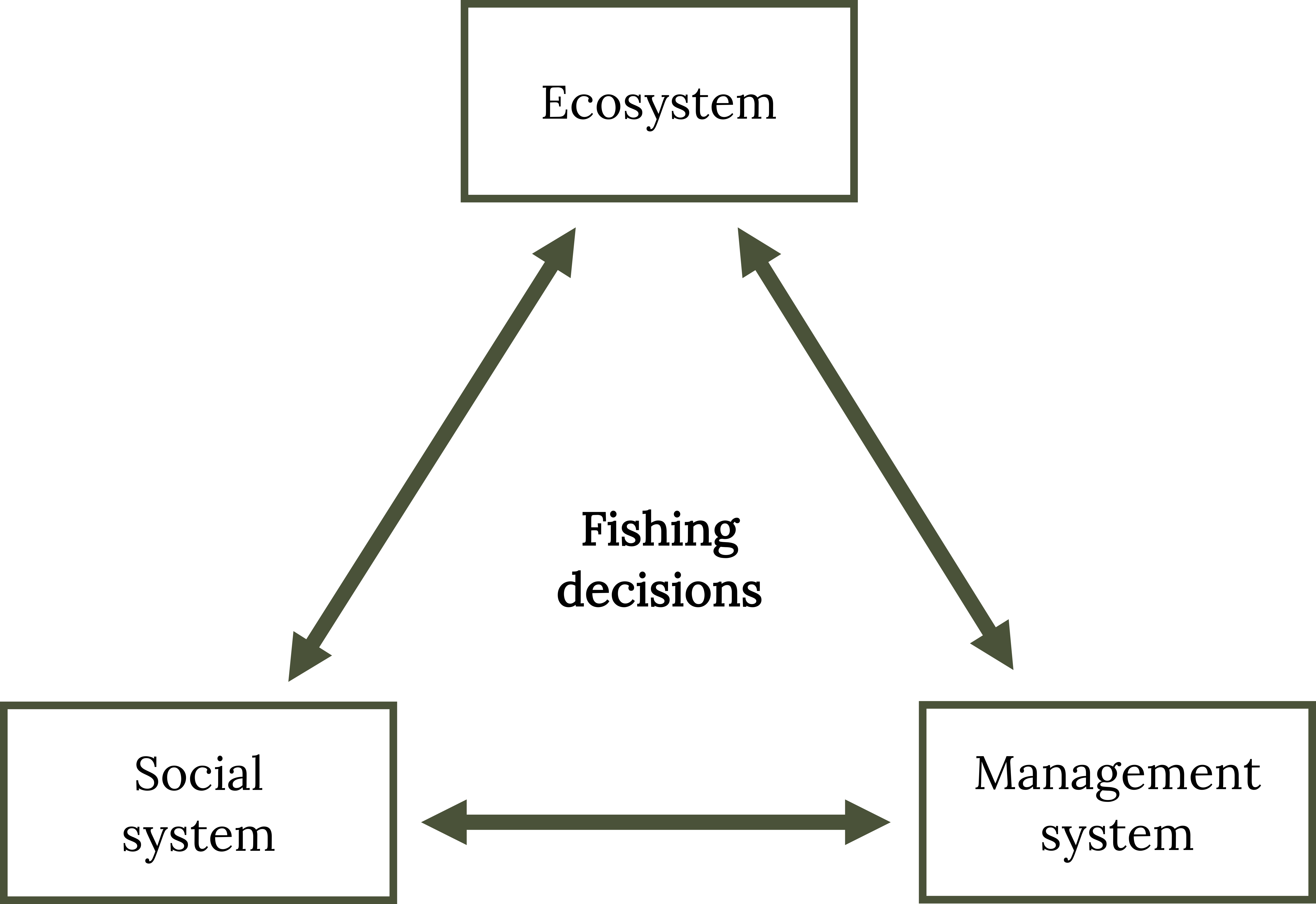 Flow chart depicts fishing decisions are centered around connections between social, ecological, and management systems
