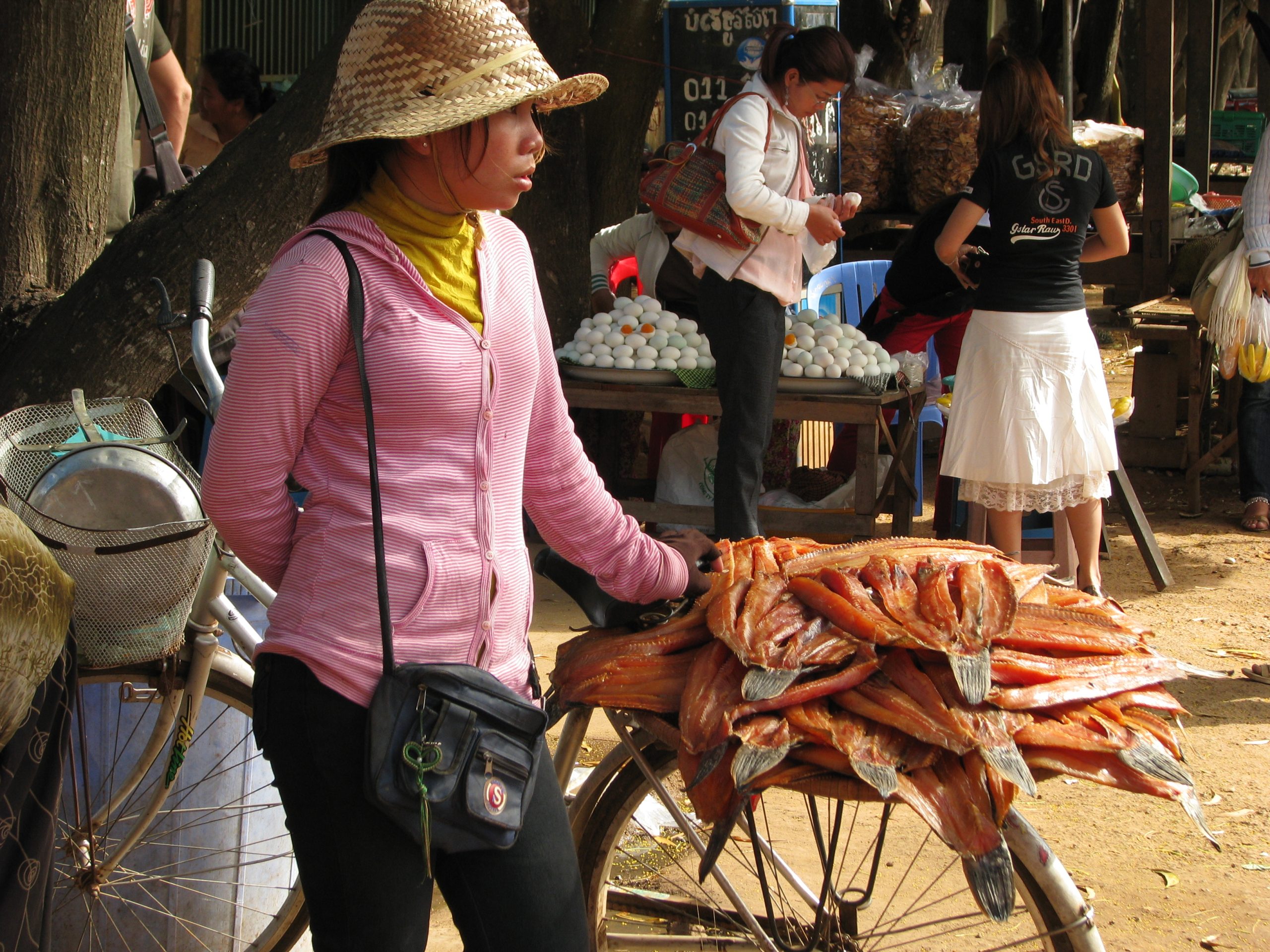 Woman transporting Dried fish with bicycle to fish market