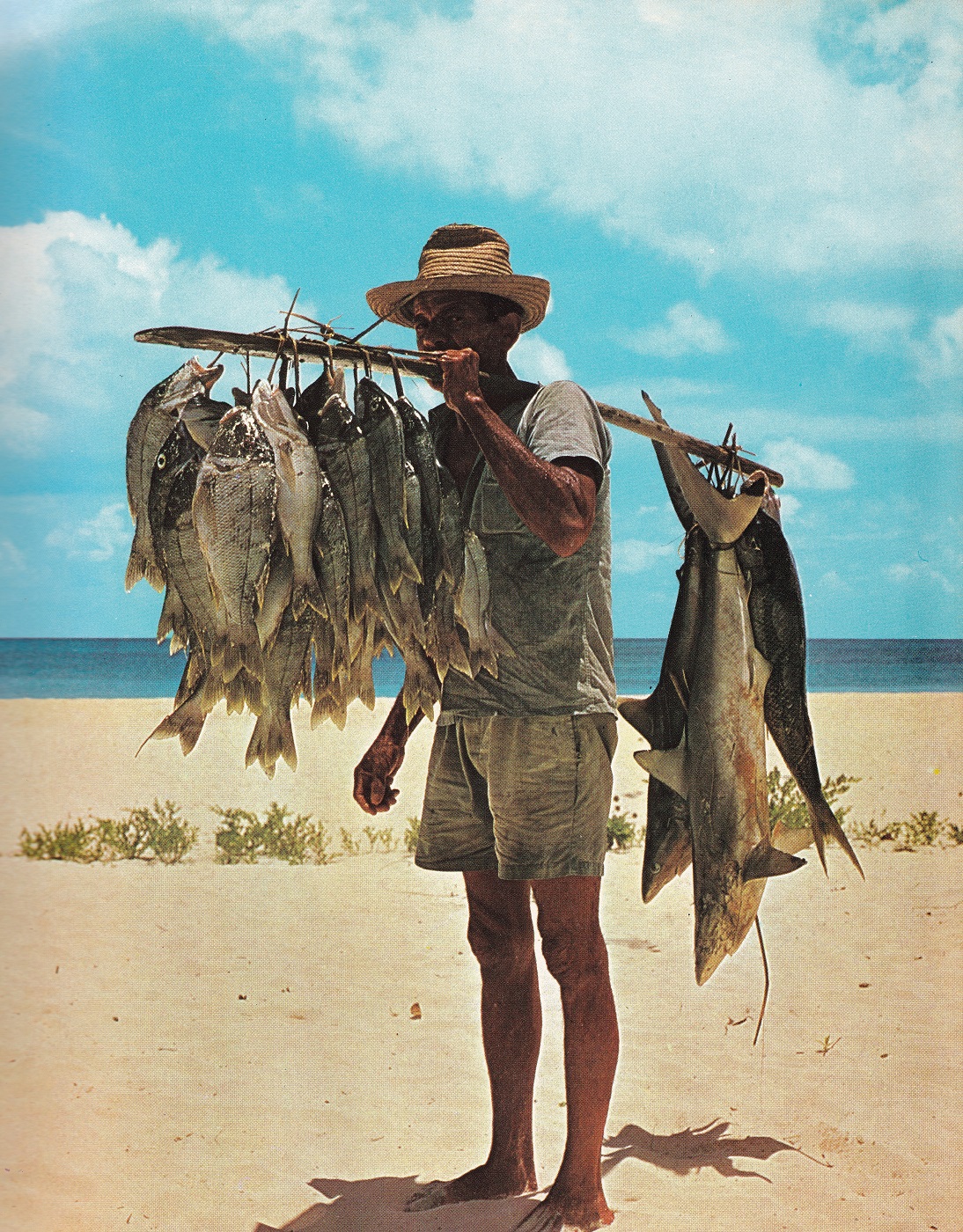 Man on shore balances 15 fish hanging from a stick