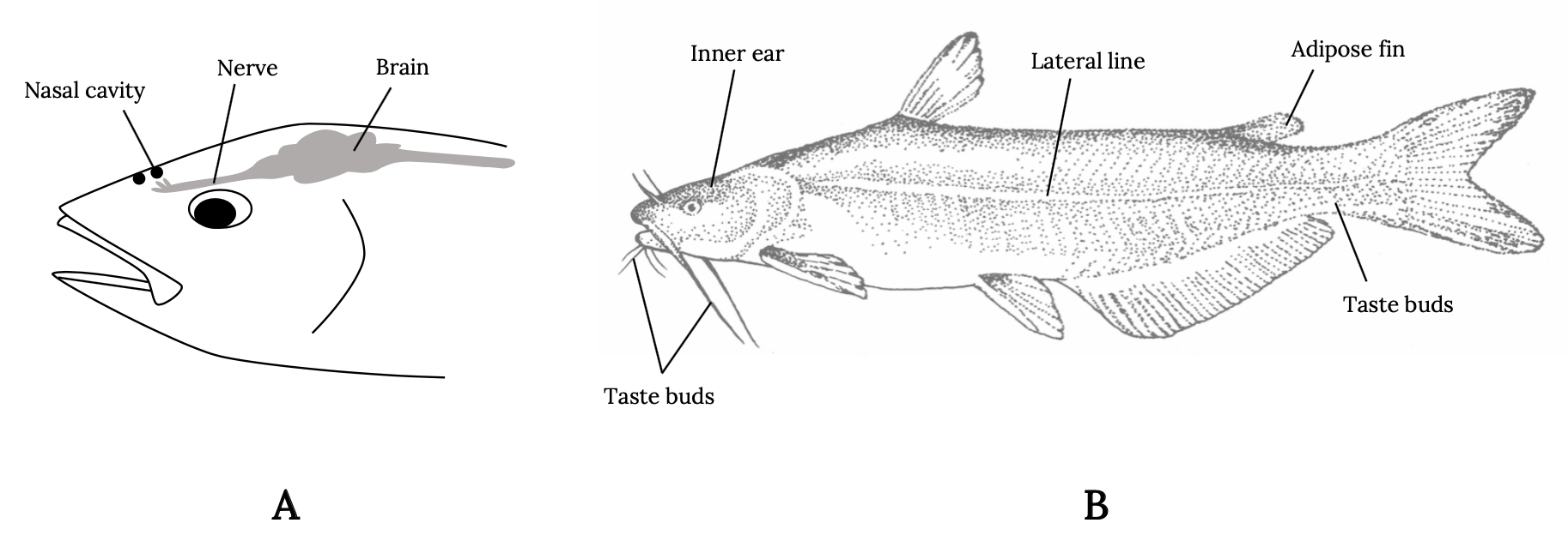 Long description available in figure caption.