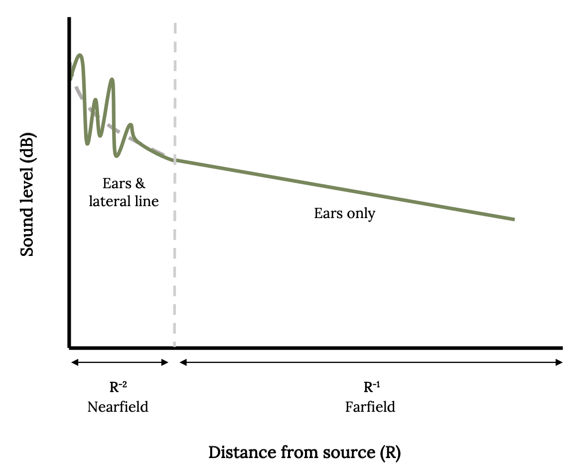 Long description available in figure caption.