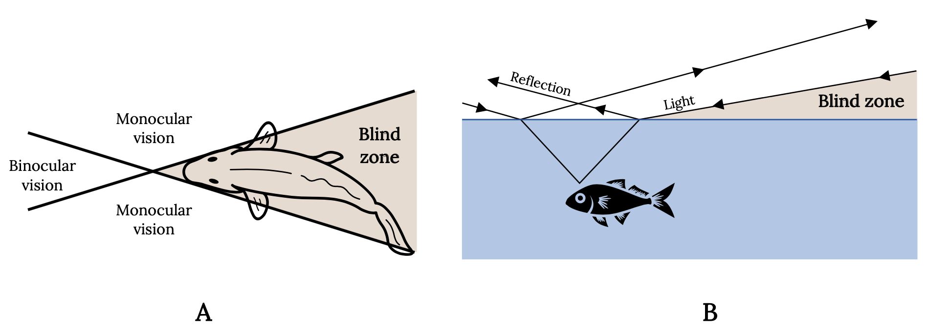 Long description available in figure caption.