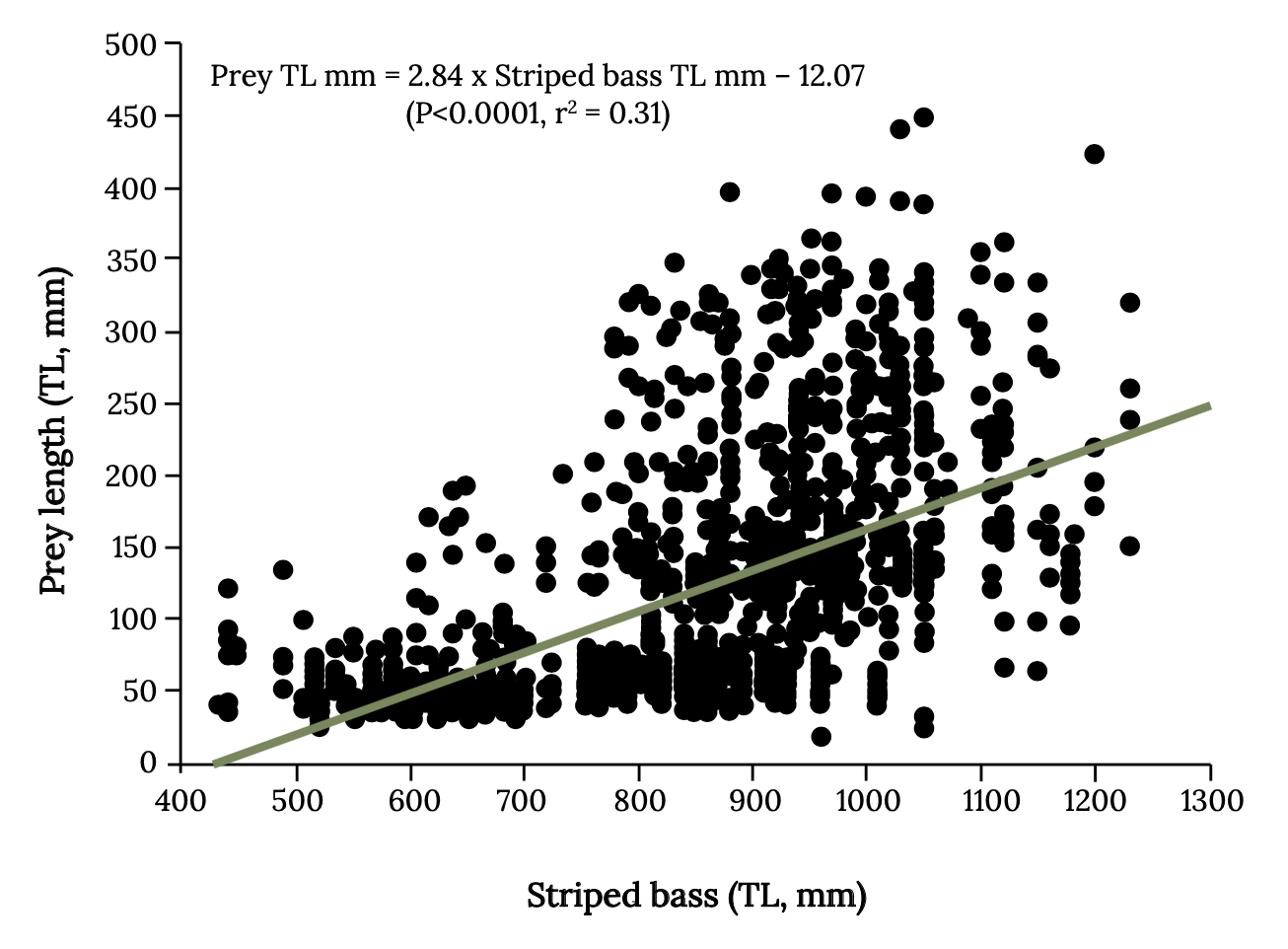 Dot graph shows size of striped bass increases as prey length increases