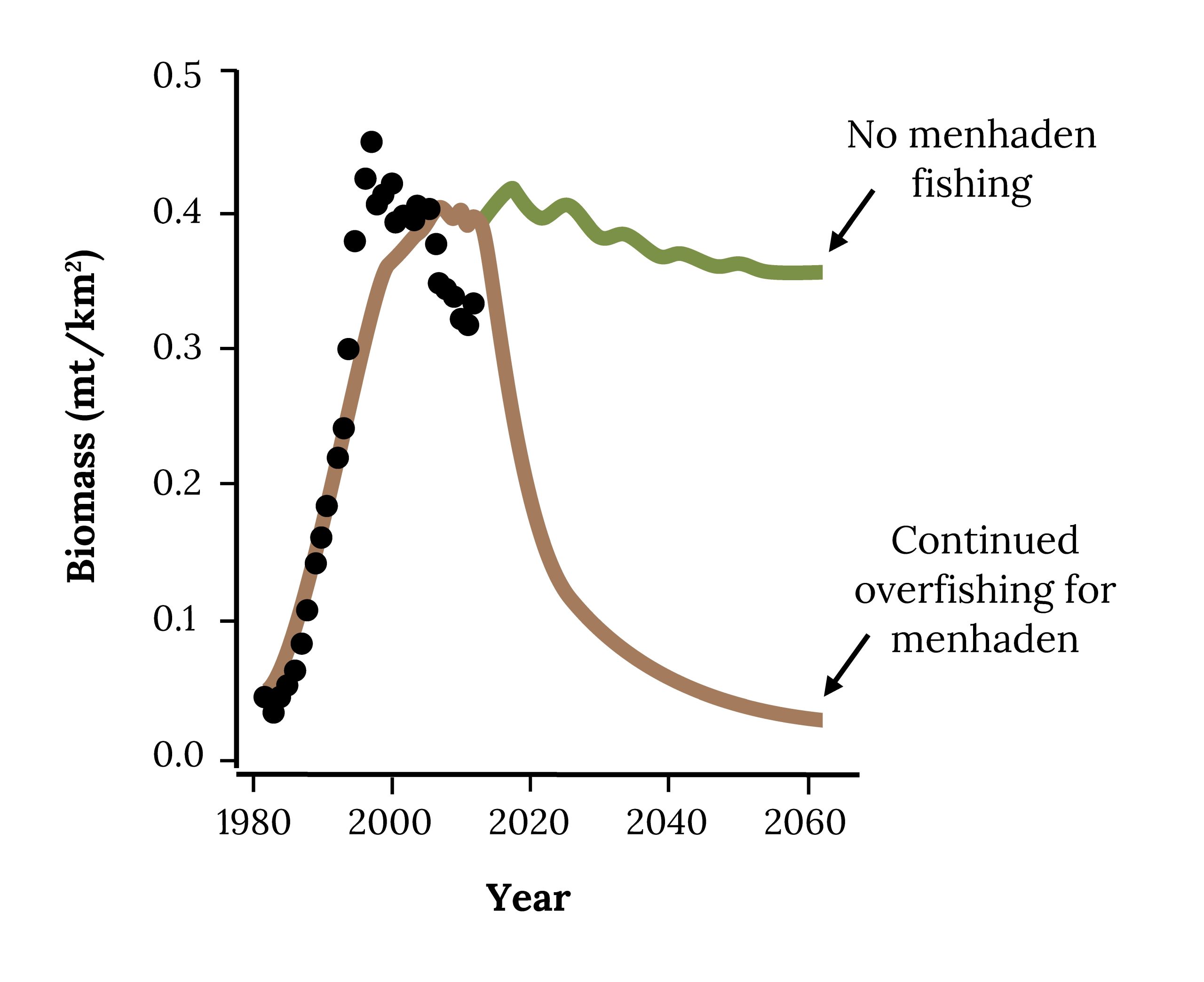 Menhaden and Forage Fish Management – Fish, Fishing, and Conservation