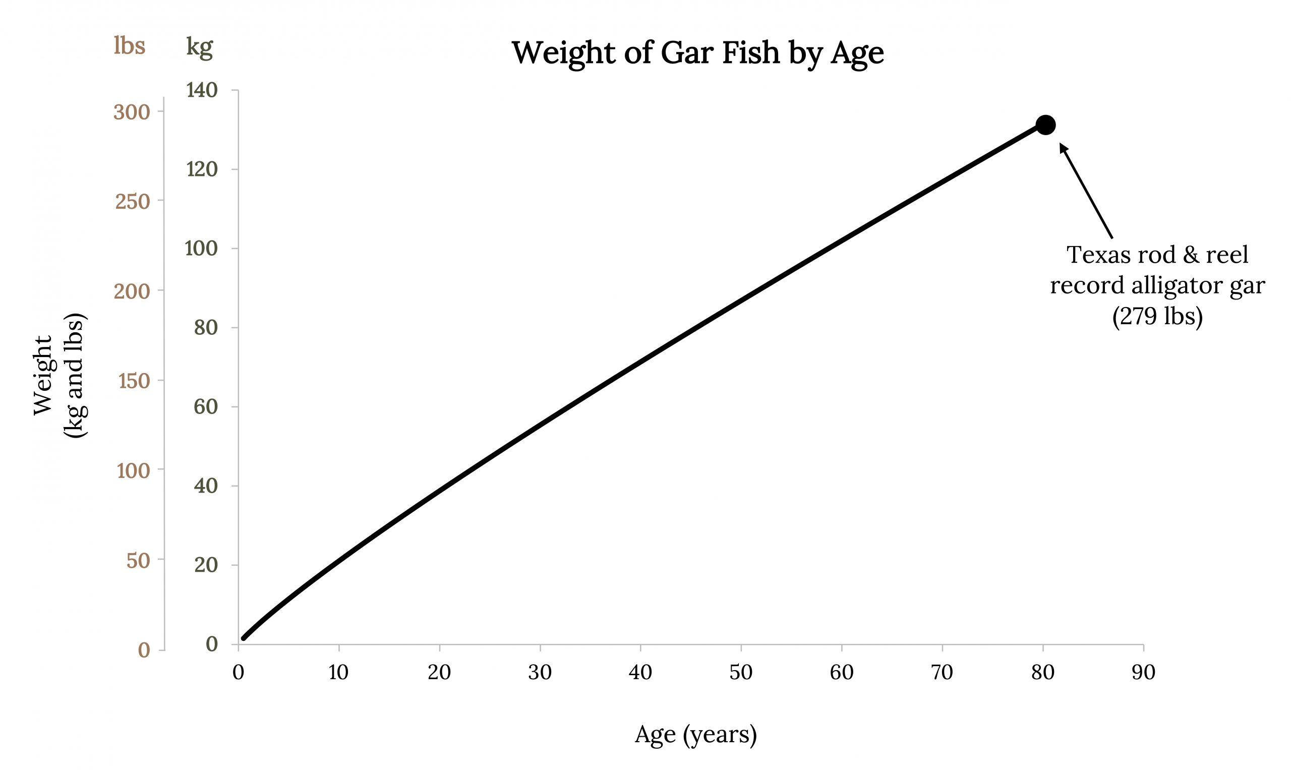 Graph shows steady increase of weight with age. Texas rod and reel record alligator gar: 279 pounds, 80 years old.