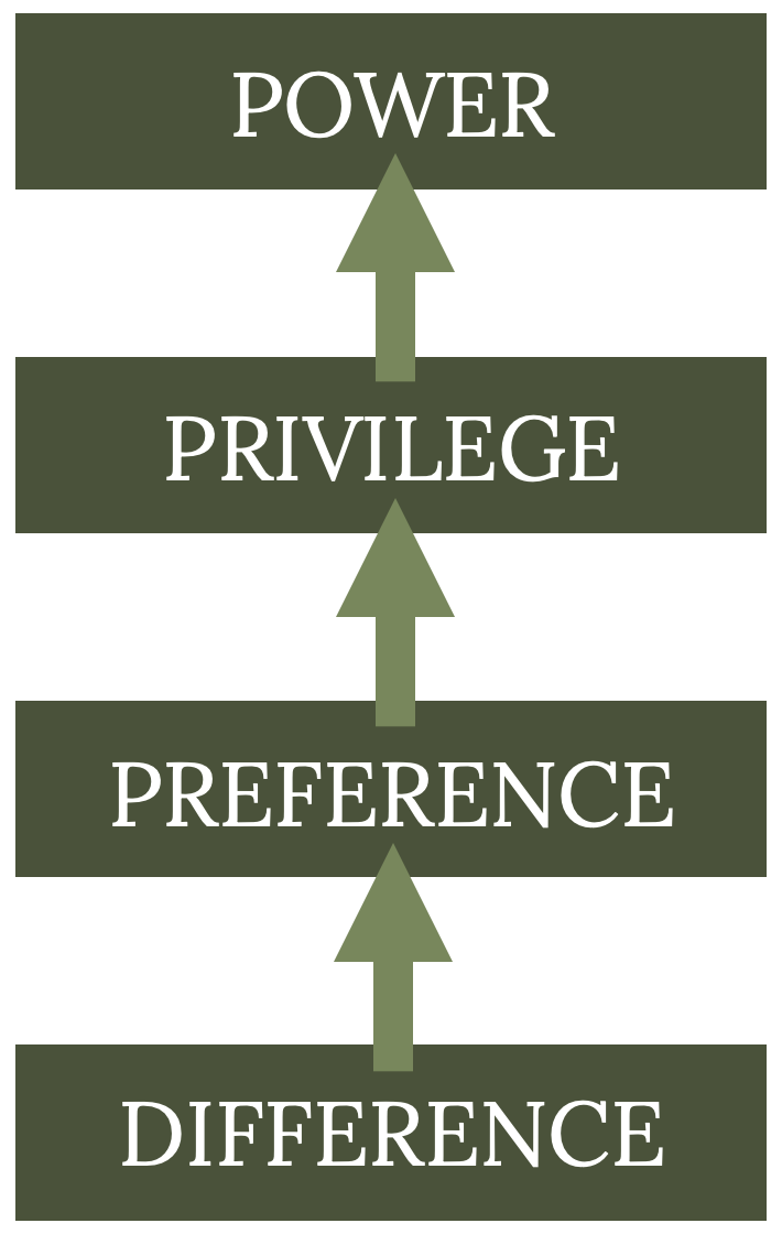 box and arrows show relationship between individual differences and preference, privilege, and power