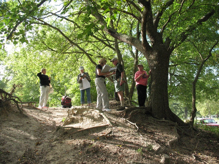 A group of volunteers stands at the top of a dirt-covered hill and reads clipboards, looks up into the trees, or look at one another