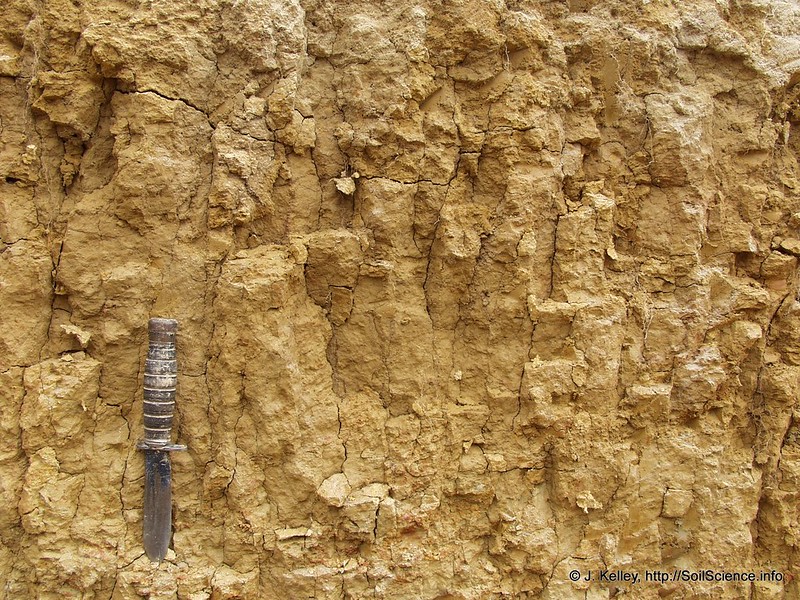 brown textured cut away of soil with a knife for scale in lower left