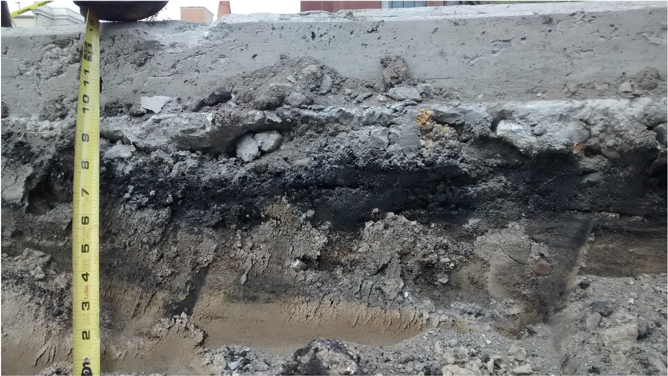 cutaway of soil horizons with a measuring tape showing grey layer on top with dirt on the bottom