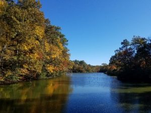 photo of a lake surrounded by trees and blue sky