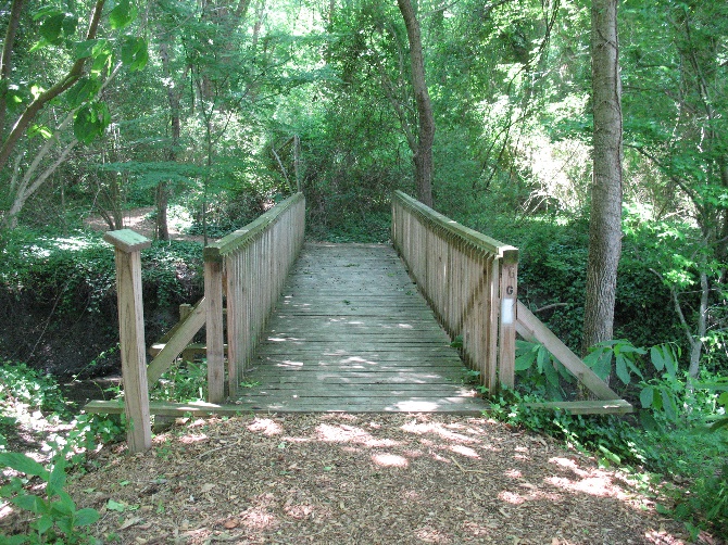 photo of a bridge on a trail through the woods