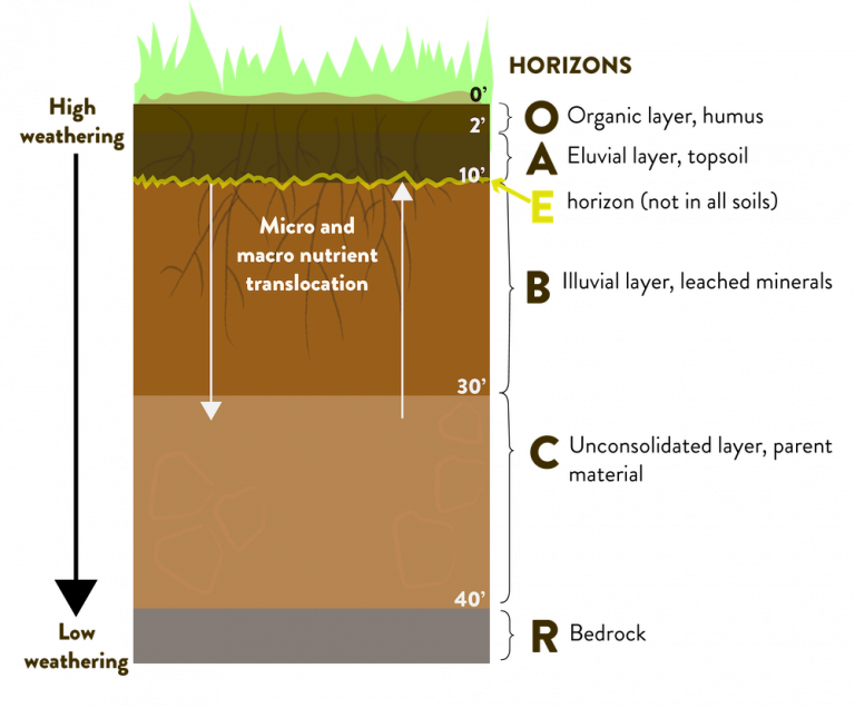 chapter-6-soil-properties-and-management-tree-steward-manual