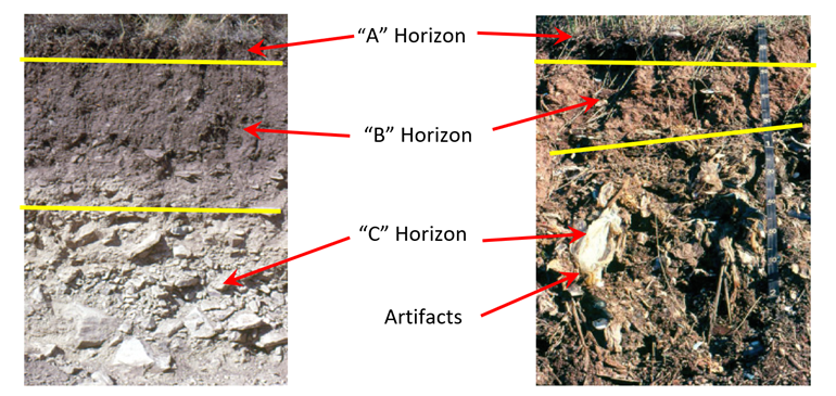 side by side comparison between natural and anthropogenic soil profiles