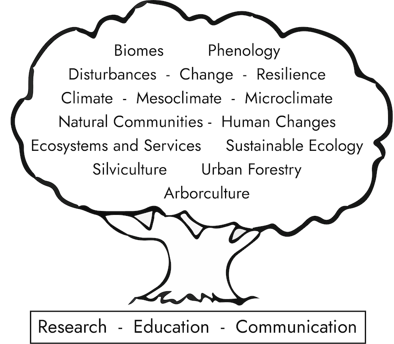 tree flow chart with buzz words about trees and environment: Biomes, phenology, disturbances, change, resilience, climate, mesoclimate, microclimate, natural communities, human changes, ecosystems and services, sustainable ecology, silviculture, urban forestry, arborculture. at the base of the tree, a box reads research, education, communication