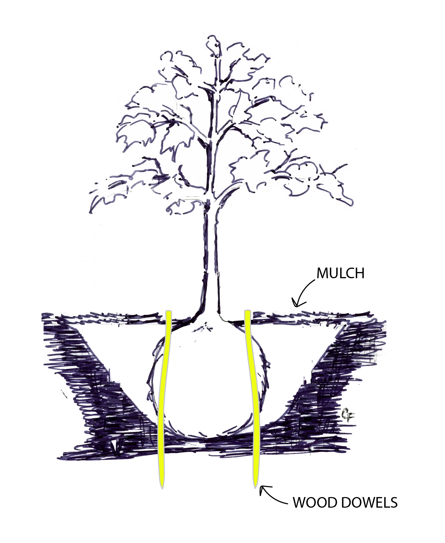 tree planted in a hole with yellow wooden dowels going through the root ball into the soil below