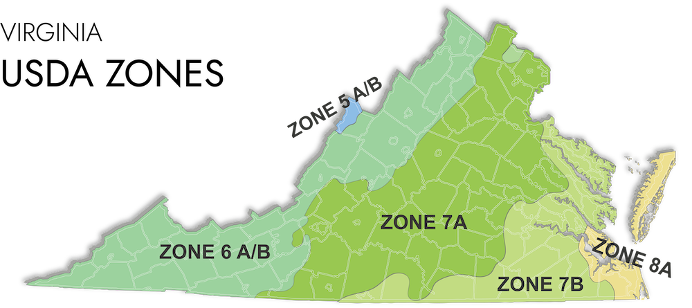 virginia usda zones