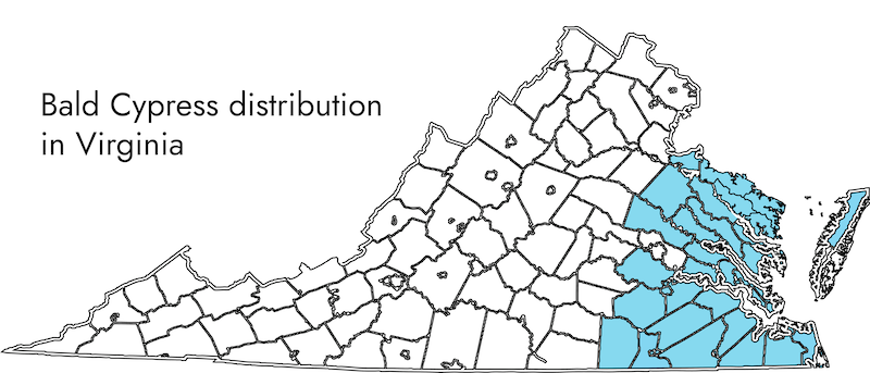 eastern half of state shaded to show bald cypres distribution