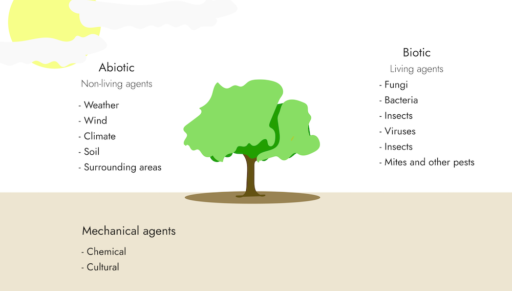 tree on a brown field with text designating abiotic (non living agents): weather, wind, climate, soil, surrounding areas. Biotic (living agents): Fungi, bacteria, insects, viruses, insects, mites and other pests. Mechanical agents: chemical, cultural