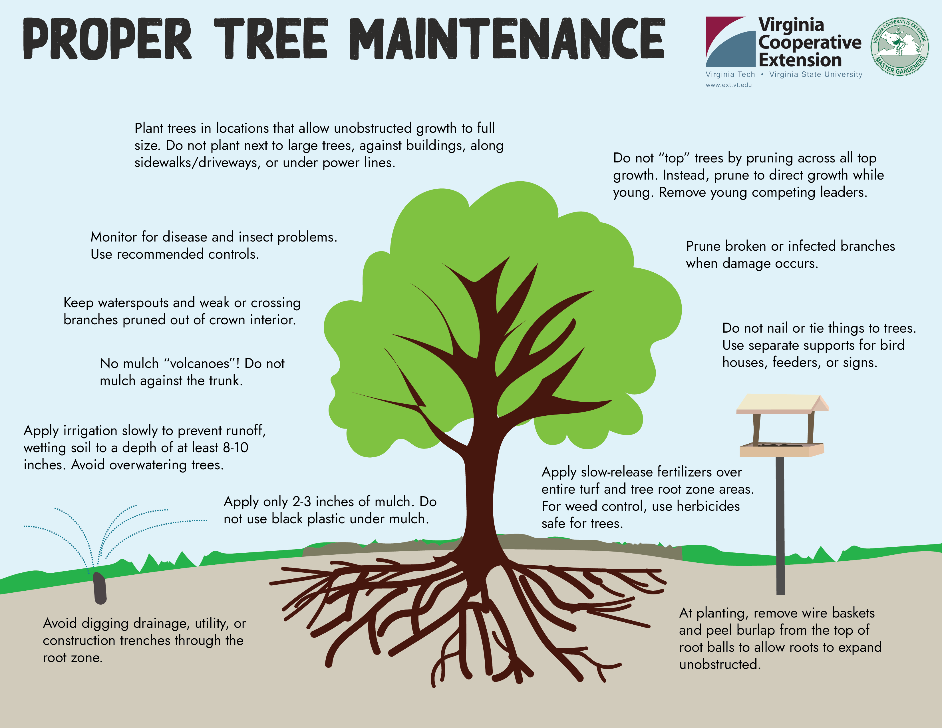 PROPER TREE MAINTENANCE CHART that suggests Planting trees in locations to allow full growth, monitoring for disease, keeping waterspouts pruned, no volcano mulch, applying irrigation slowly, allying only 2-3 inches of mulch, avoid digging drainage lines in the root zone, don't top trees, prune broken branches, don't nail to the tree, apply fertilizer over root zone, and at planting remove wire baskets.
