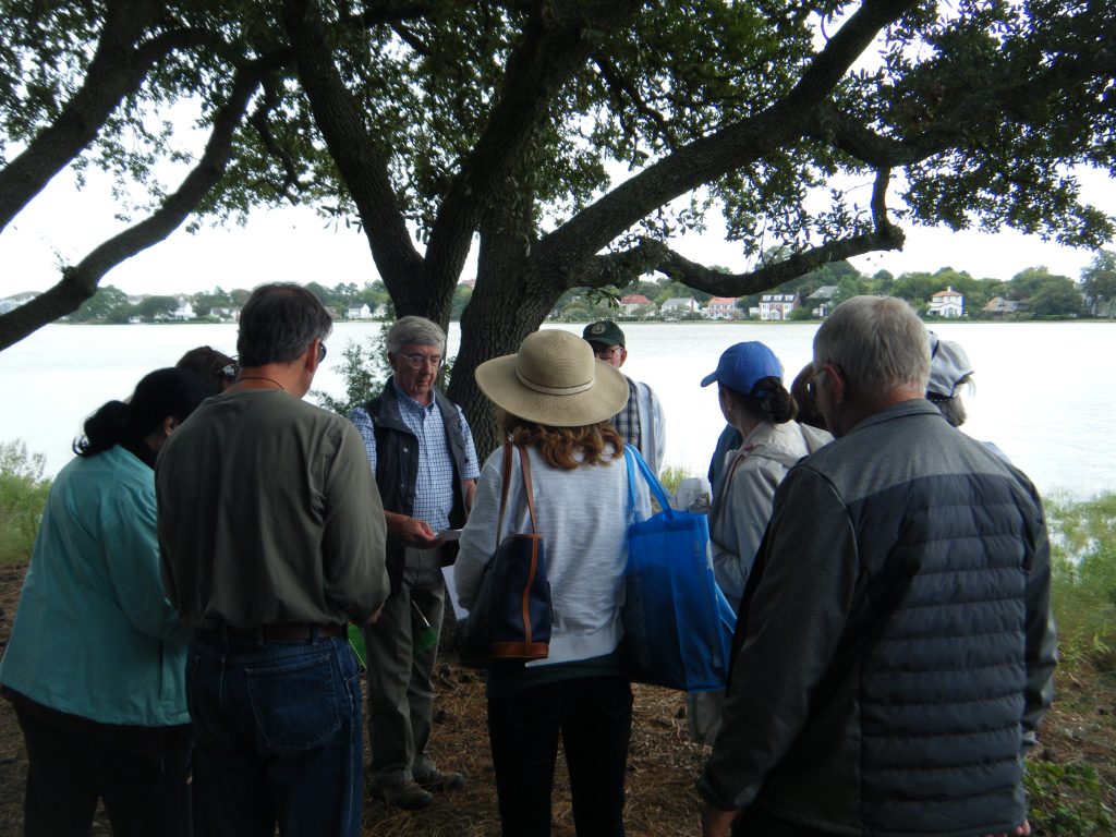 A group of people stand gathered together at the edge of a body of water, a tree provides shade