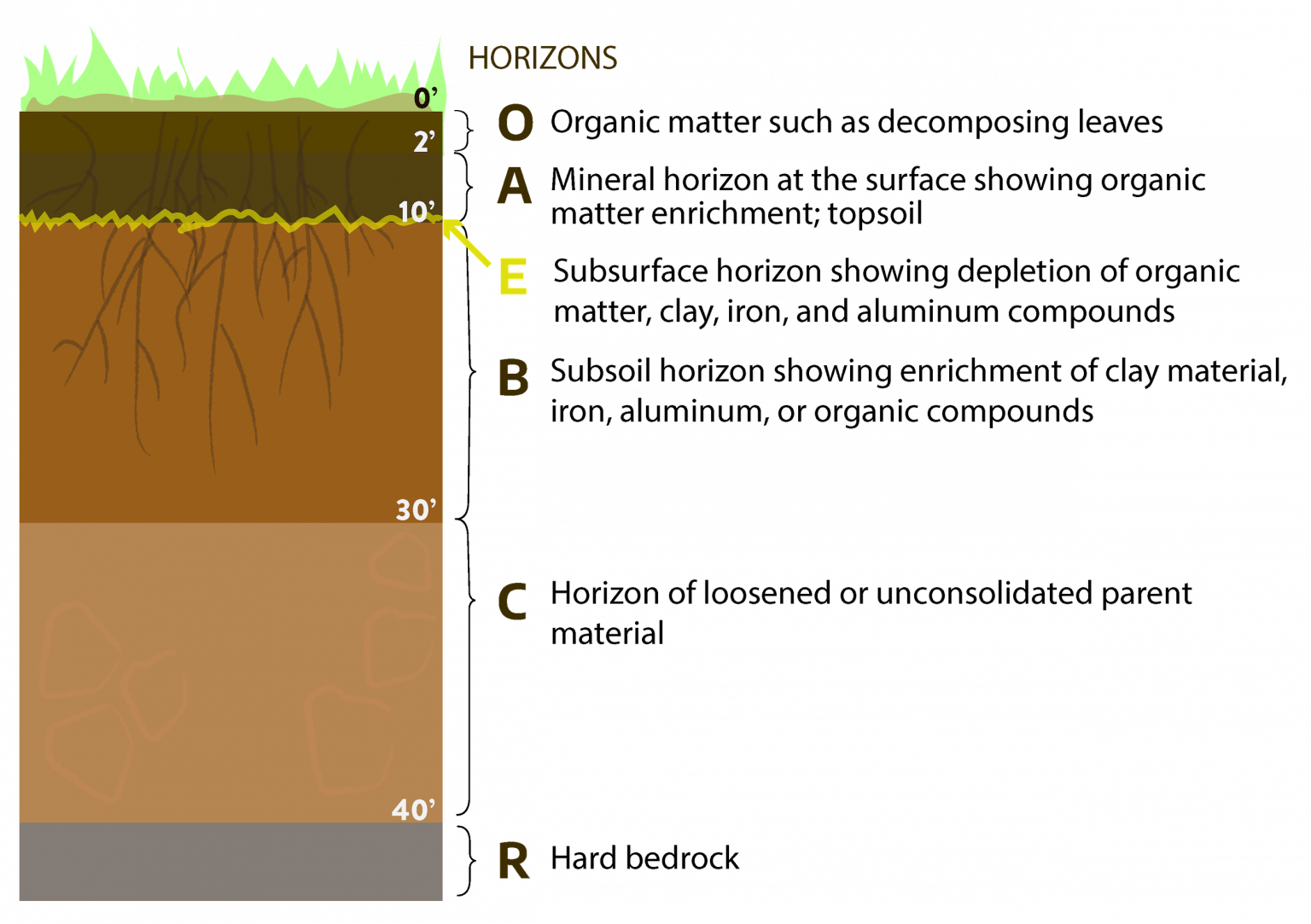 chapter-2-soils-and-nutrient-management-virginia-cooperative