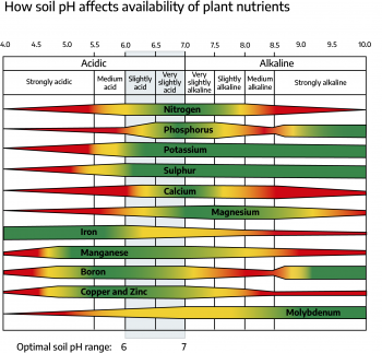 Chapter 2: Soils and Nutrient Management – Virginia Cooperative ...