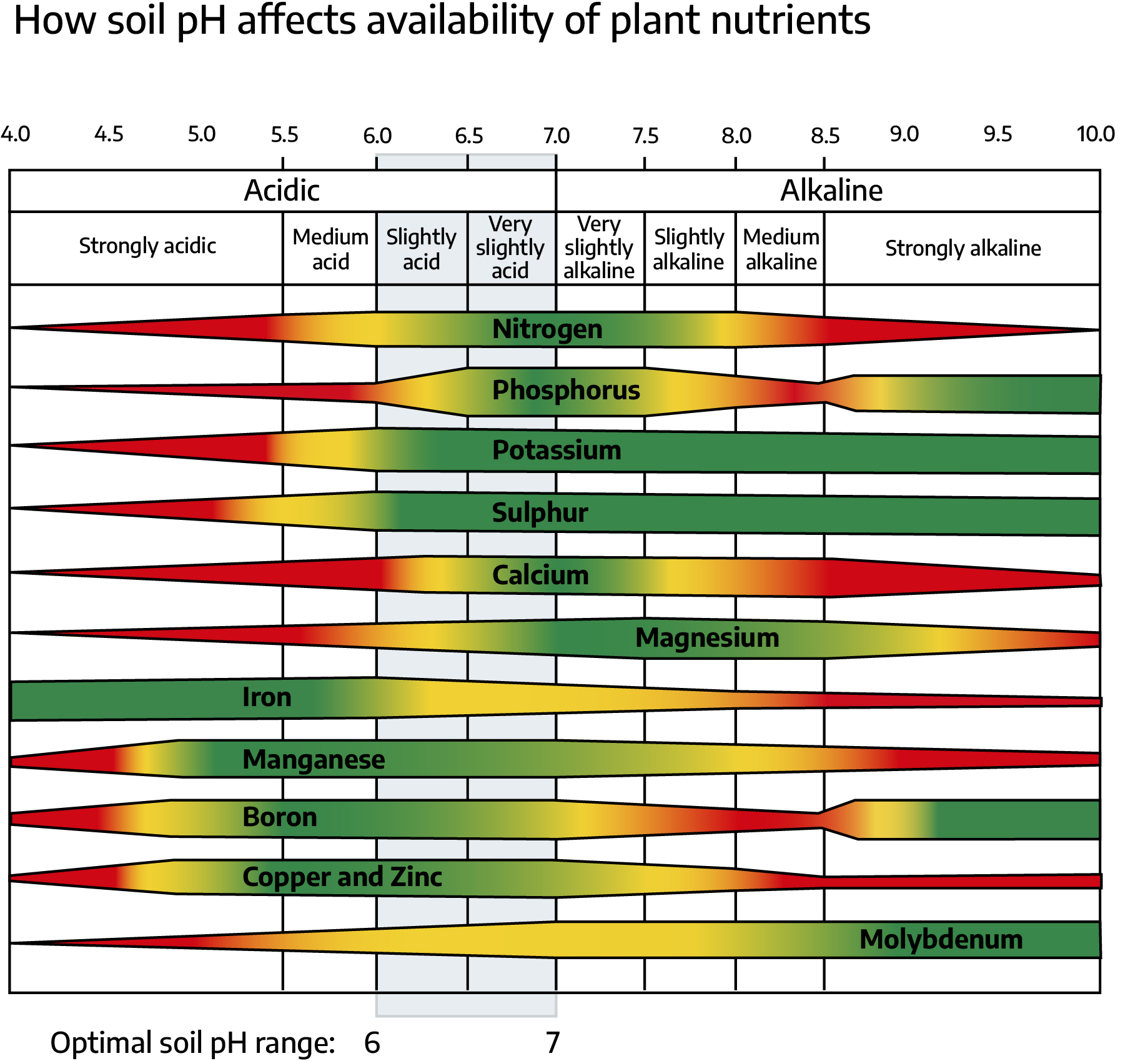 A diagram showing the nutrient availability of nitrogen, phosphorus, potassium, sulphur, calcium, magnesium, iron, manganese, oron, copper and zinc, and molybdenum by pH within the soil. Optimal soil pH is labeled between 6 and 7.