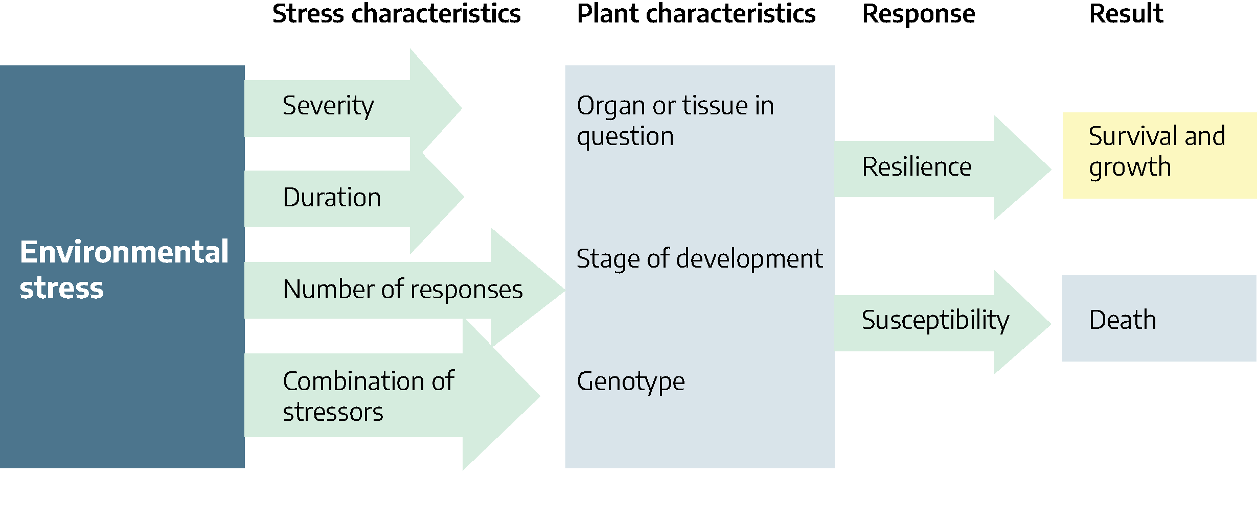 Flow diagram with a large box labeled "environmental stress" at the left. Arrows extend from the box under the heading "stress characteristics"; arrows are labeled: severity, duration, number of responses, and combination of stressors. Arrows point to a box labeled "plant characteristics" that includes: organ or tissue in question, stage of development, genotype. Arrows labeled "response" point to boxes in a column labeled "result." Arrow with word "resilience" points to "survival and growth" and arrow labeled "susceptibility" points to "death."