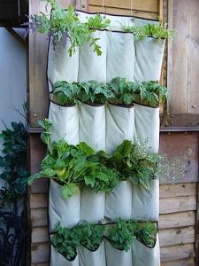A large rectangular piece of fabric hangs against the wall. Pockets of fabric are evenly spaced all along the front of the fabric with plants growing out of each pocket.