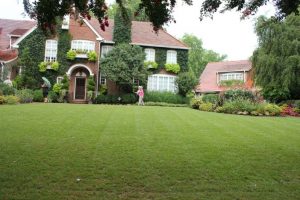 A photograph. A large mowed yard in front of a large two story brick house. There are a few small trees and a few larger trees, along with many herbaceous plants surrounding the house.