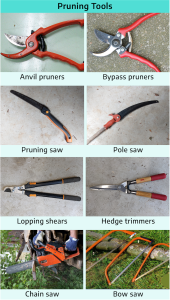 Eight photographs. First is anvil pruners; orange-red in color, large jaw opening to about a 30 degree angle, with one side being a wide blade and the other side is smooth; these are opened by a spring, there are to long handles. Second is bypass pruners; similar to the anvil pruners, a large jaw opening to about a 40 degree angle, one side being a wide blade, the other side is a smooth; these are opened by a spring that can lock, two long handles reddish-orange in color. Third is a pruning saw, a long black handle goes into long serrated blade, this tool is foldable. Fourth is a pole saw; a long slightly curved black handle, this goes into a thin serrated blade, this tool is foldable. Fifth is lopping shears; the jaw is closed with one side being the blade and the other side is smooth, this goes into two long handles that are black with orange accents. Sixth is hedge trimmers; a long jaw that goes into a point, both sides are blades; this goes into two shorter wooden handles with red grips. Seventh is chainsaw; an oblong rotating blade goes into the orange machine housing unit with a handle. Eighth is bow saw; a long serrated blade is connected at both ends by a rounded handle, orange in color.