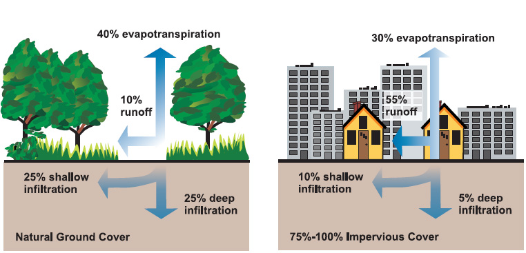 Two cartoon diagrams. The first is "natural ground cover" showing three large trees with grass growing, below is a solid gray section marked, there are blue arrows pointing up from the ground marked "40% evapotranspiration" and to the left marked "10% runoff"; below the ground is a downwards arrow marked "25% deep infiltration" and to the left marked "25% shallow infiltration." The second is "75%-100% impervious cover" showing a city landscape with all buildings above the ground; above ground is blue arrows pointing upwards marked 30% evapotranspiration" and towards the left marked "55% runoff," under the ground is a downwards arrow marked "5% deep infiltration" and an arrow towards the left marked "10% shallow infiltration."