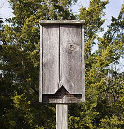 A photograph of a wooden bat house on a post in front of a large tree.