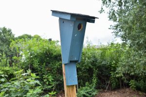 A photograph of a blue bluebird house on a post in front of a garden.