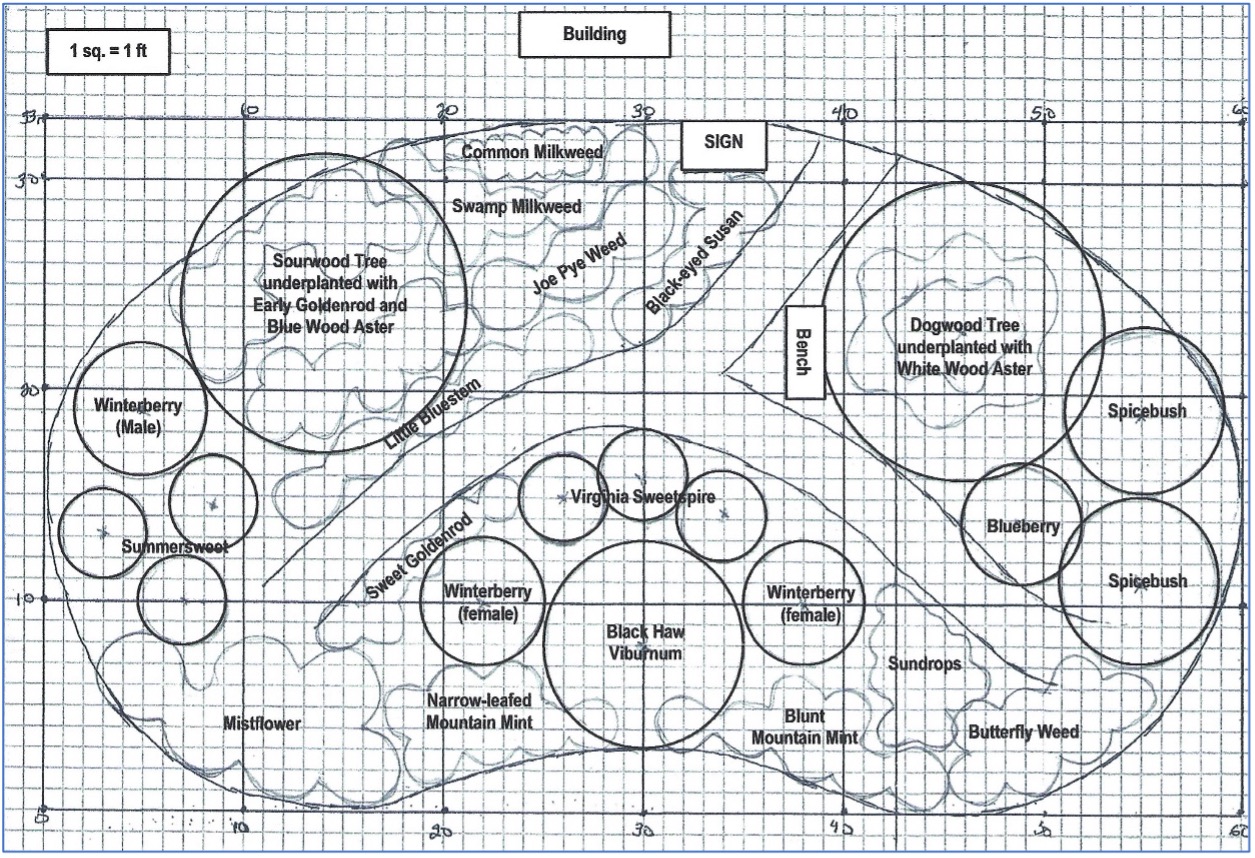 Diagram of Hope garden drawn on graph paper with plants including mountain mint, sourwoood tree, winterberry, dogwood, and Joe Pye weed.