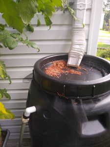 A photograph of a black rain barrel placed under a section of gutter to collect water. It also contains an overflow hose on the left side.