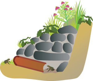 A cartoon diagram. A flat area of land goes directly into a steep hill. Within this space is a pile of rocks with plants growing. At the bottom is a log with two frogs at each opening.