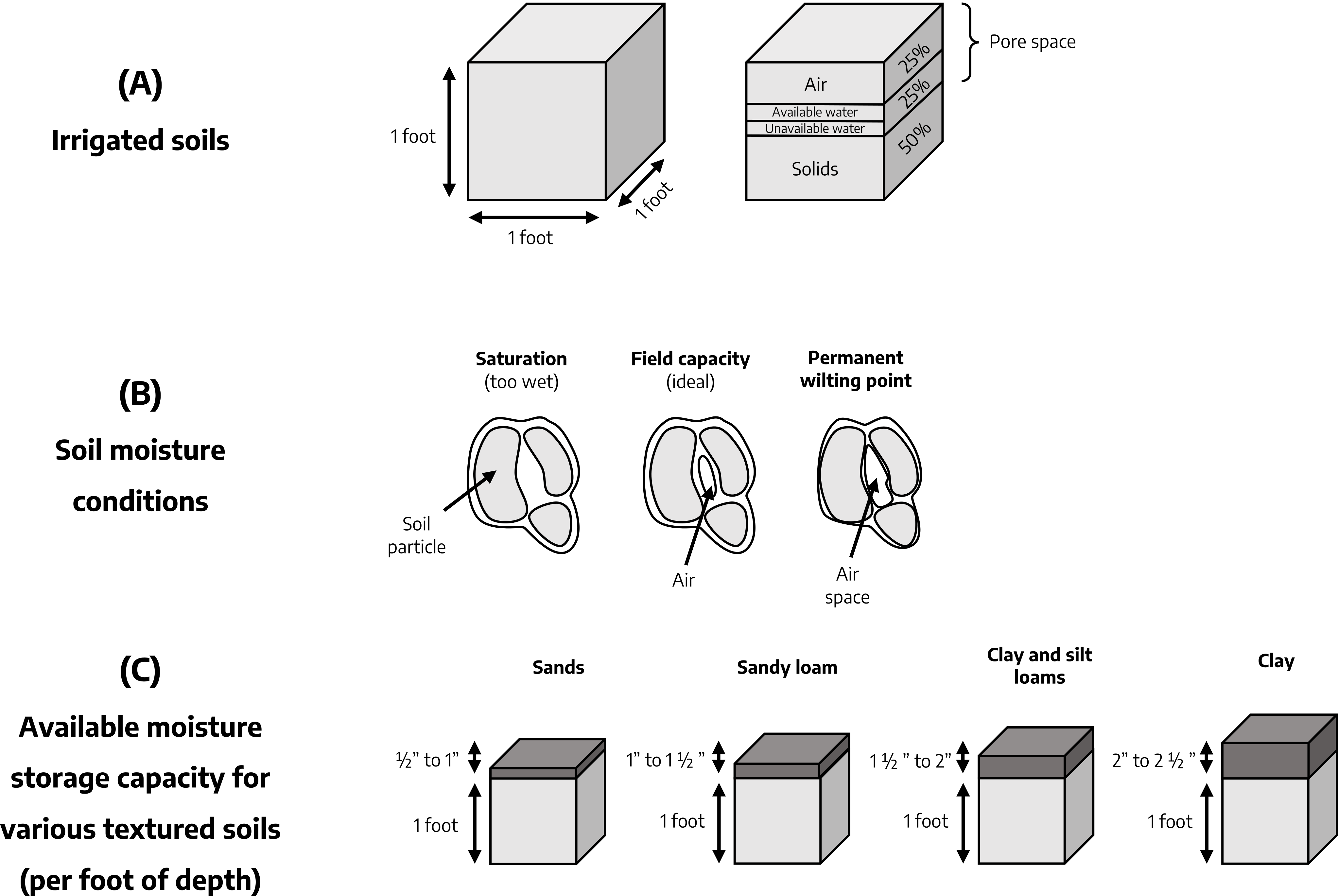 Three Diagrams labeled A, B, and C. Diagram A, Irrigated Soils, shows two cubes approximately one foot in length, width, and height. The second cube has sections of varying sizes to show percentages of soil composition. The layers from top to bottom are Air, 25%, Available Water and Unavailable Water, 25%, and Solids, 50%. Air, Available and Unavailable water are categorized as Pore Space. Diagram B, Soil Mositure Conditions, shows three ? Diagram C, Available Moisuter storage capacity for various textured soils (per foot of depth), shows four cubes approximately one foot in length, width, and height. The first cube is marked as Sands with a section of approximatley 1/2 to 1 inch of area marked as available mositure storage. The second cube is marked as Sandy Loam, with a section of approximatley 1 to 1 1/2 inch(es) of area marked as available mositure storage. The third cube is marked as Clay and Silt Loams with approximately 1 1/2 to 2 inches of area marked as available mositure storage. The fourth cube is marked as Clay with an area approximatley 2 to 2 1/2 inches marked as available moisture storage.