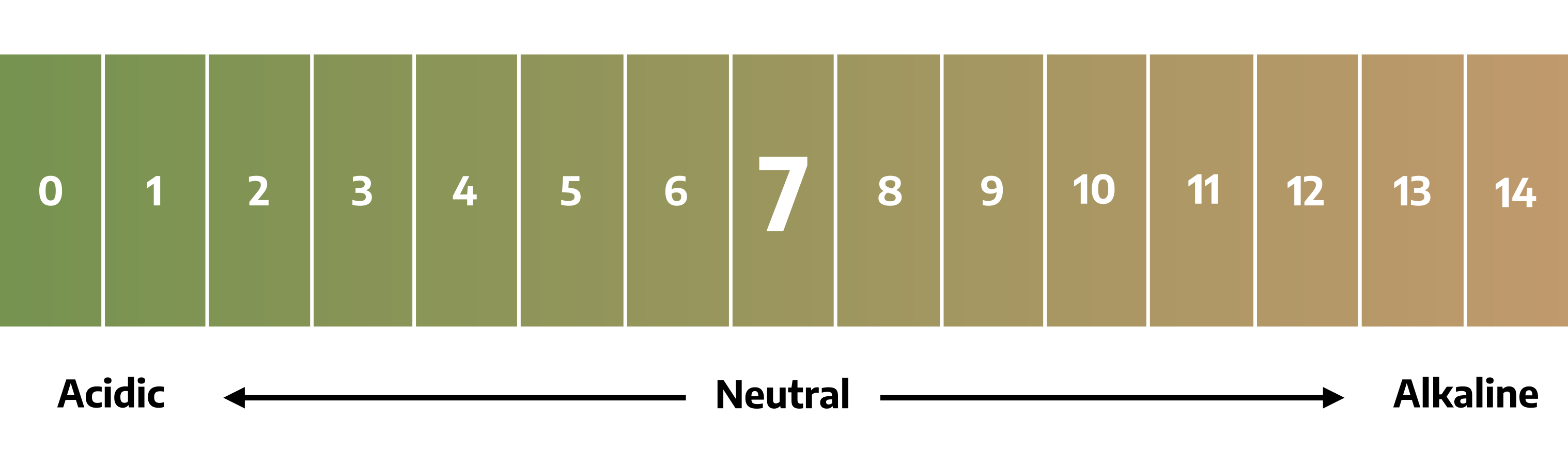 A number diagram ranging from 0 to 14 representing the pH scale. The 0 is shaded a green and slowly transitions to a green/red at 14. The 7 is larger indicating the neutral number. 0-6 are marked as Acidic, 7 is marked as neutral, and 8-14 is marked as alkaline.
